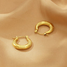 Carregar imagem no visualizador da galeria, Titanium Steel Hoop Earrings
