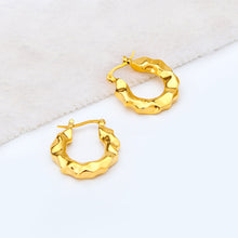 Carregar imagem no visualizador da galeria, Gold-Plated Huggie Earrings
