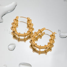 Carregar imagem no visualizador da galeria, Gold-Plated Stainless Steel Hoop Earrings
