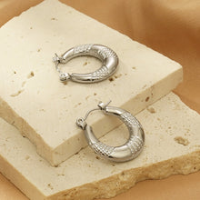 Carregar imagem no visualizador da galeria, Titanium Steel Hoop Earrings
