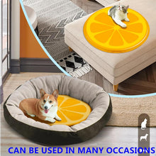 Carregar imagem no visualizador da galeria, GUIASIPULE Cooling Dog pad, Summer Sleeping pad for Cats and Dogs, Gel self-Cooling pad, Suitable for cat, Dog and Rabbit Cages, kennels, Rooms, Cars, Travel, 60 cm (Yellow)
