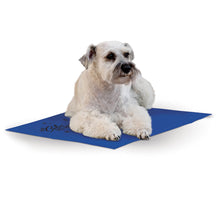 Carregar imagem no visualizador da galeria, K&amp;H Pet Products Summer Cooling Mat for Dogs or Cats, Outdoor Dog Cooling Mat for Travel Carriers, Cooling Pad for Dog that&#39;s Easy Carry, Non-Toxic, No Gel - Cooling Dog Bed - Blue Medium 20&quot; x 15&quot;
