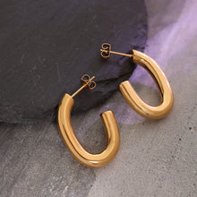 Load image into Gallery viewer, Titanium Steel Gold-Plated Earrings
