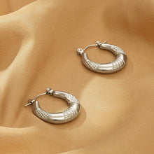 Carregar imagem no visualizador da galeria, Titanium Steel Hoop Earrings
