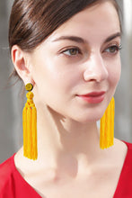 Load image into Gallery viewer, Beaded Tassel Earrings
