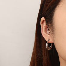 Carregar imagem no visualizador da galeria, Titanium Steel Hoop Earrings
