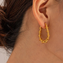 Carregar imagem no visualizador da galeria, Gold-Plated Stainless Steel Hoop Earrings
