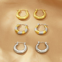 Carregar imagem no visualizador da galeria, Titanium Steel Hoop Earrings
