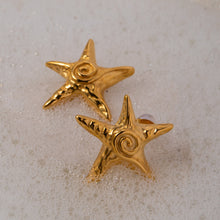 Carregar imagem no visualizador da galeria, Stainless Steel Star Shape Earrings
