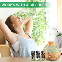 Load image into Gallery viewer, Essential Oils Set - 32x5ml Pure Aromatherapy Essential Oils Kit for Diffuser, Humidifier, Aromatherapy, Massage, Skin &amp; Hair Care - Lavender, Tea Tree, Eucalyptus, Sandalwood, Peppermint, Rosemary
