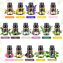 Load image into Gallery viewer, Essential Oils Set - 32x5ml Pure Aromatherapy Essential Oils Kit for Diffuser, Humidifier, Aromatherapy, Massage, Skin &amp; Hair Care - Lavender, Tea Tree, Eucalyptus, Sandalwood, Peppermint, Rosemary
